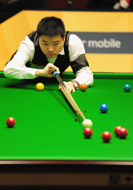 迅速成长 迅速成长