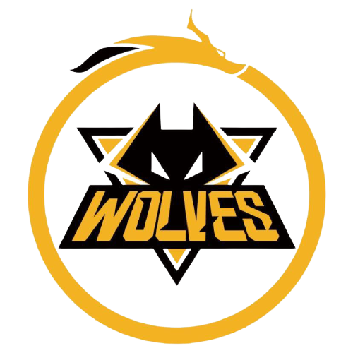 在中段冲刺 在中段冲刺